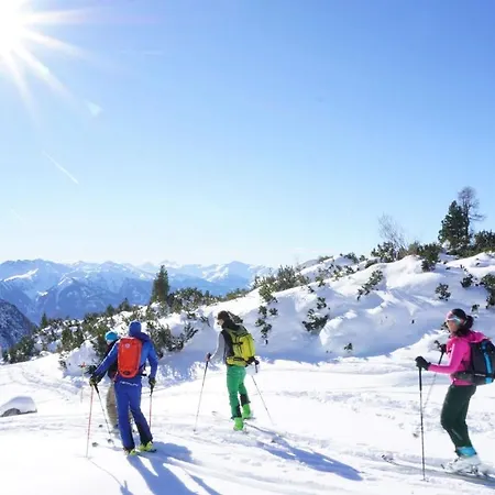 Liebes Caroline 4-sterne-hotel 호텔 4*